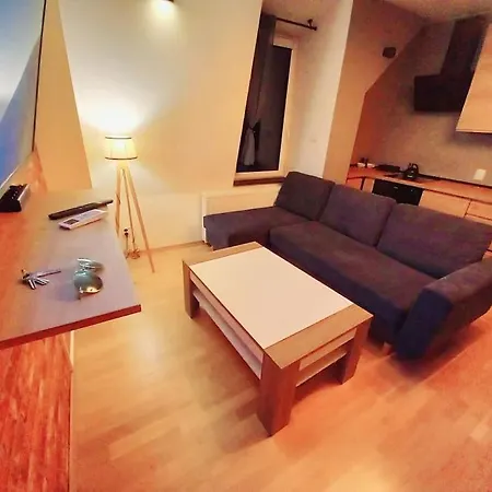 Apartment Apartament Wood City *